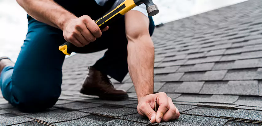 Shingle Roof Repair